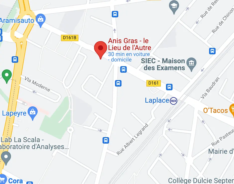 carte vers anis gras à arcueil